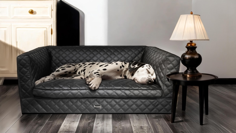 Medium-sized dog resting on a memory foam bed designed for comfort and support.